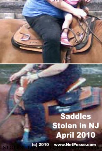 STOLEN TACK / EQUIPMENT Roughed Out Work Saddle, Bear Trap Saddle Near Long Valley, NJ, 00000